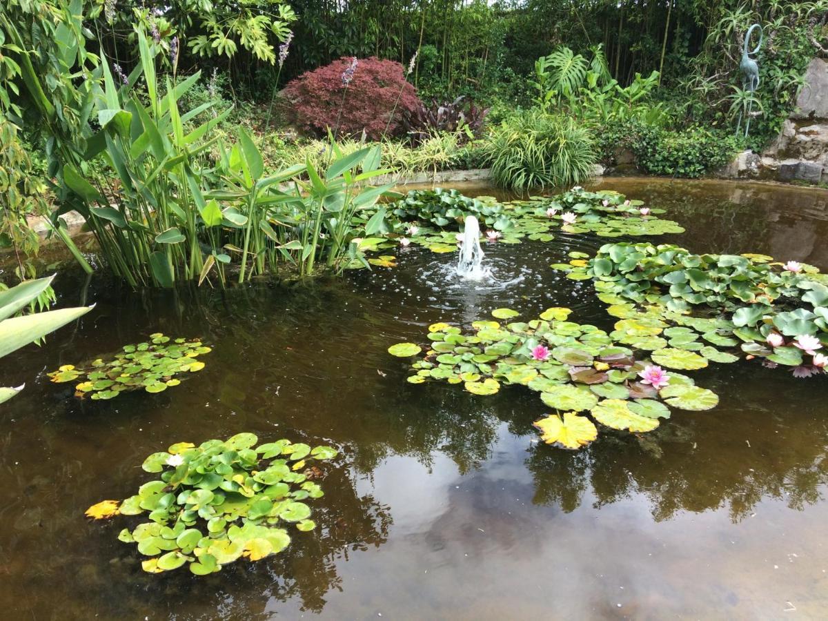 Quinta Das Pedras Belas Ngoại thất bức ảnh